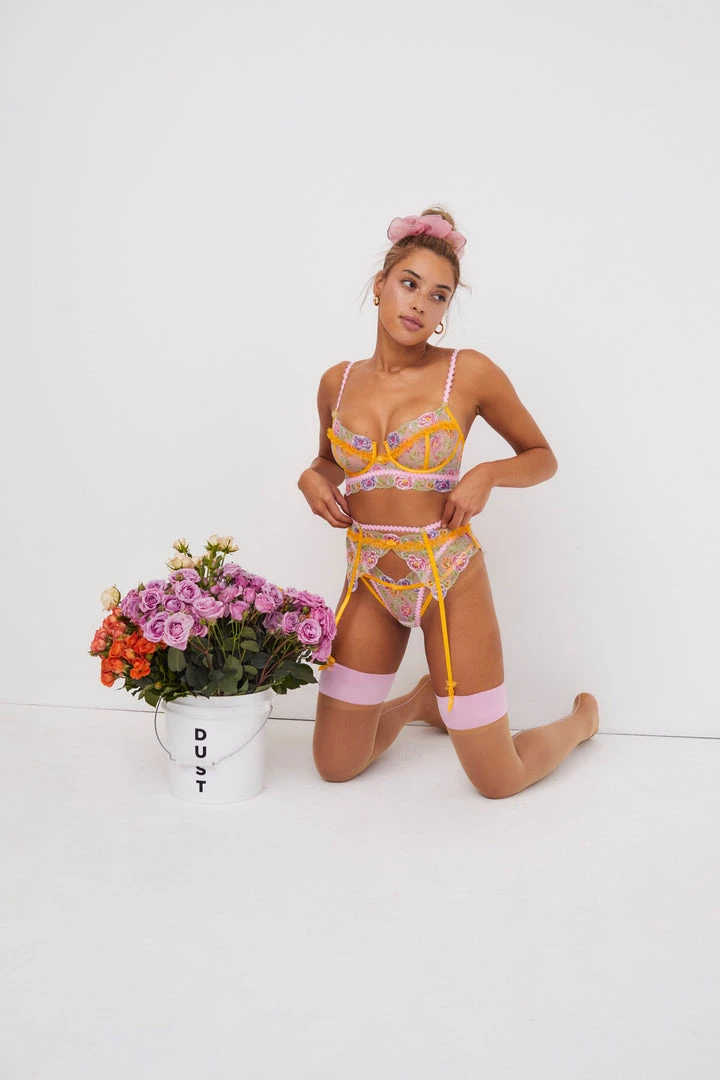 Victorias Secret Sorbet Rose Garter Belt 6 Victorias Secret Sorbet Rose Garter Belt