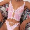 Victorias Secret Aster Embroidery Bustier New