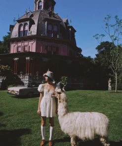 Ready-to-Wear Becca Mini Dress Best Sellers