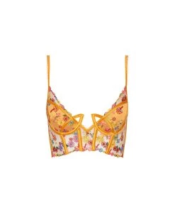 Victorias Secret Lingerie Meadow Embroidery Bustier