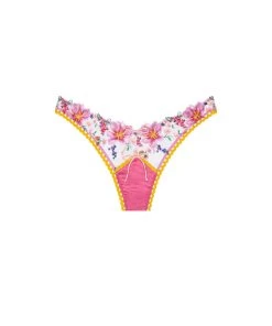 Victorias Secret Lingerie Plumeria Bouquet High-waist Thong Panty
