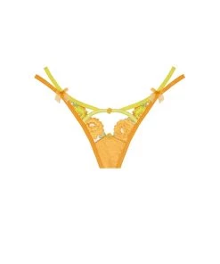 Victorias Secret Neon Rose Embroidery Panty 11 Victorias Secret Neon Rose Embroidery Panty