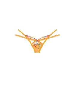 Victorias Secret Meadow Embroidery Panty Lingerie