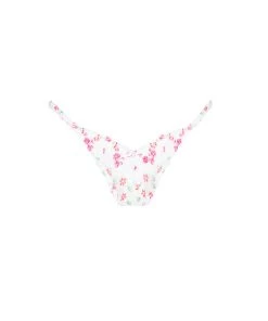 Victorias Secret Blooms Thong Panty New