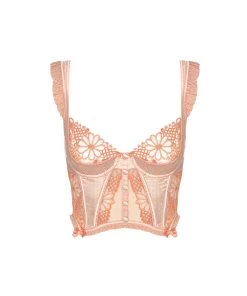 Victorias Secret Zoe Bustier Lingerie